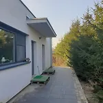 W Zieleni Do Wynajecia Blisko Jeziora Środa Wielkopolska