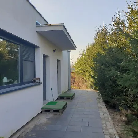 W Zieleni Do Wynajecia Blisko Jeziora Środa Wielkopolska