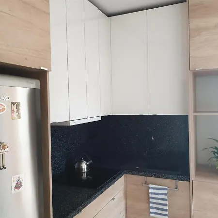 W Zieleni Do Wynajecia Blisko Jeziora Środa Wielkopolska